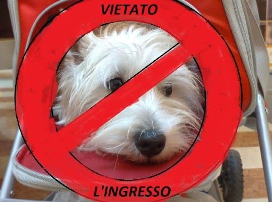 Lettere in redazione: Orvieto, vietano l'ingresso del cane in una borsa al museo Opera del Duomo